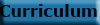 Curriculum
